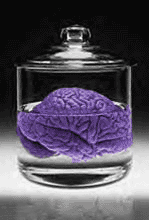 You're Soaking In It!